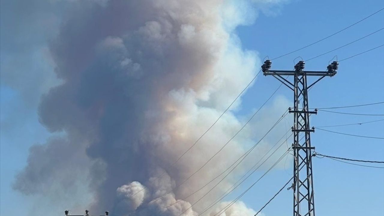 Karabük'te Orman Yangını: Ekipler Müdahalede Bulunuyor