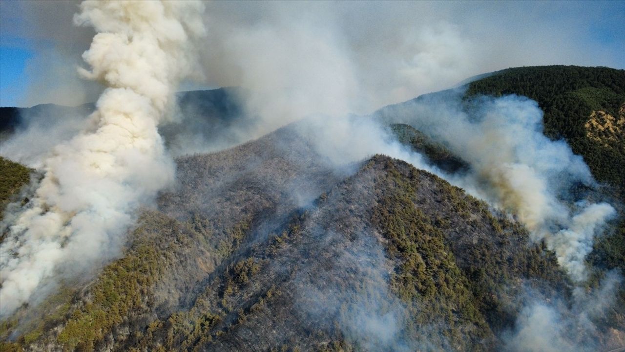 Karabük'te Orman Yangınına Hızla Müdahale Ediliyor