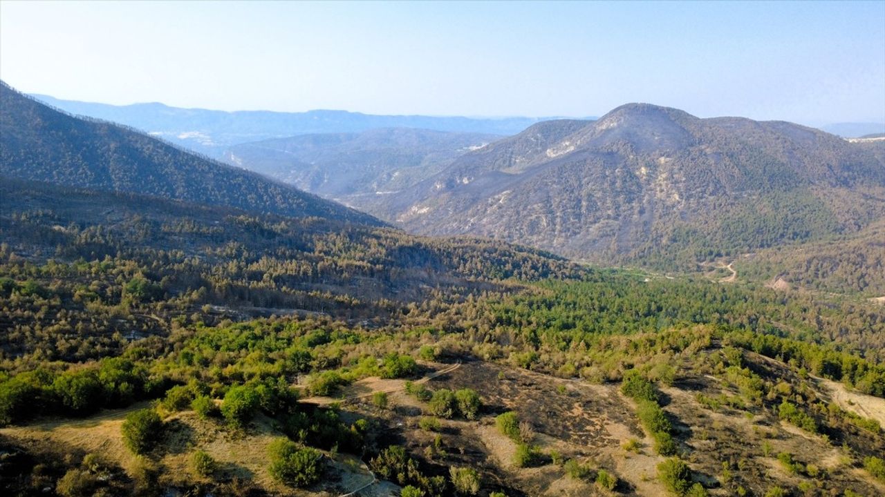Karabük'te Orman Yangınları Kontrol Altına Alındı, Söndürme Çalışmaları Devam Ediyor