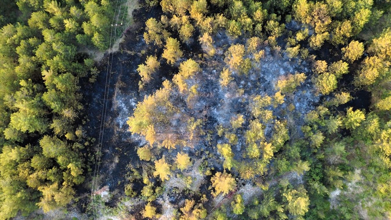 Karabük'teki Orman Yangını Kontrol Altına Alındı