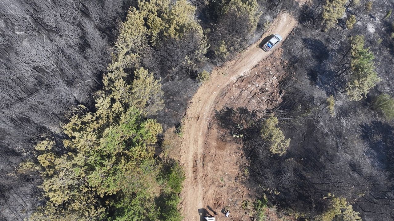 Karabük'teki Orman Yangını Nedeniyle 4 Mahalle ve 1 Köy Tahliye Edildi