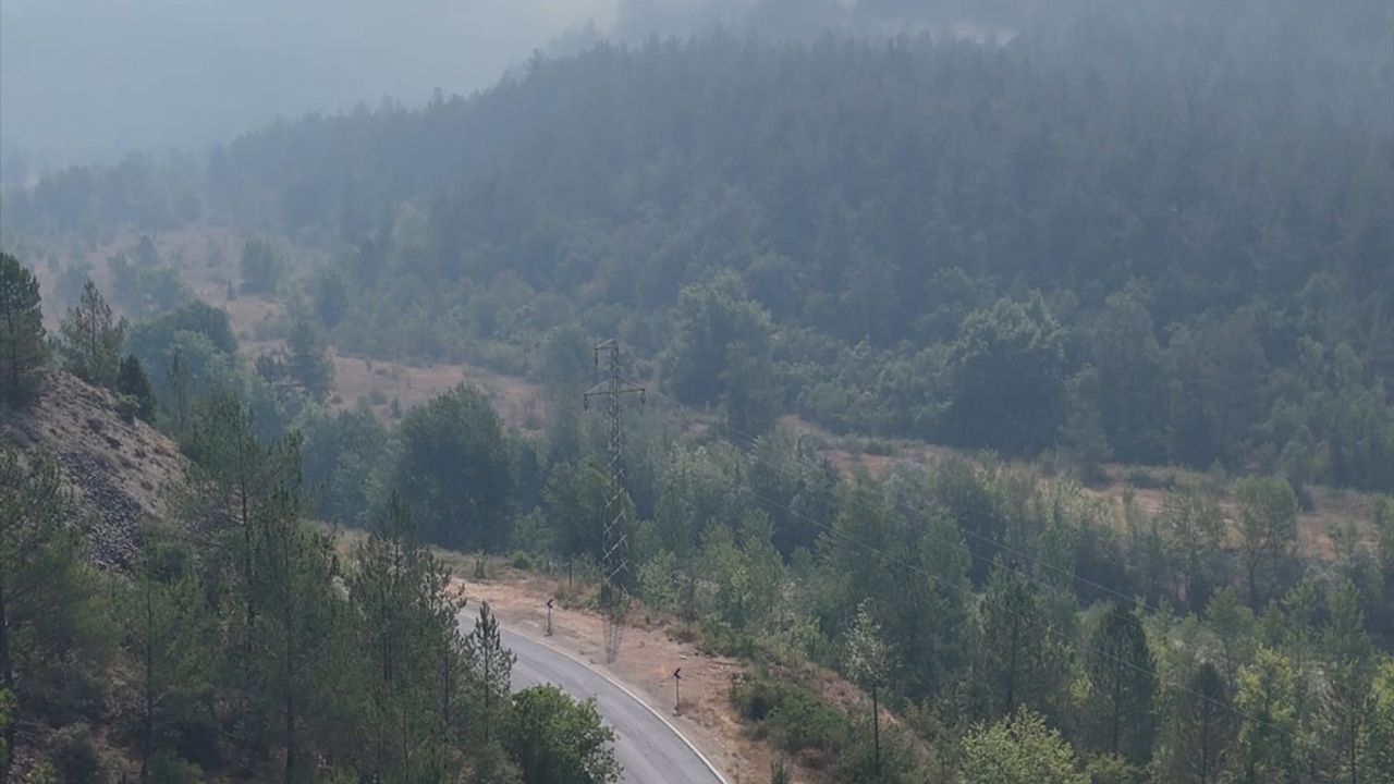 Karabük'teki Orman Yangınları Dördüncü Günde Devam Ediyor