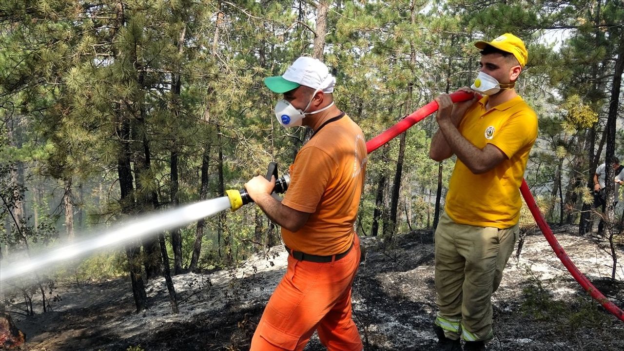Karabük'teki Orman Yangınları Üçüncü Gününde