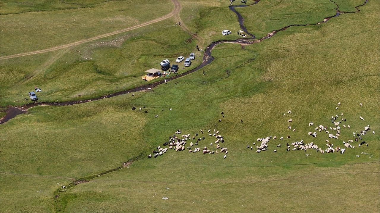 Karadeniz'in Zirvesindeki Yaylalar Ziyaretçileri Ağırlıyor