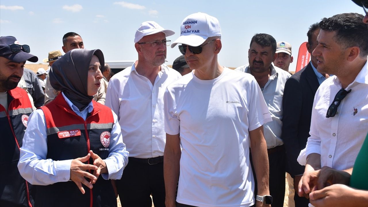 Karaman'da Yerli Tohumla Ekim Yapılan Buğdayın Hasadı Gerçekleşti