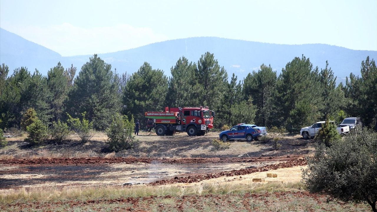 Kastamonu'da Tarım Arazisinde Yangın: Ormana Sıçradı