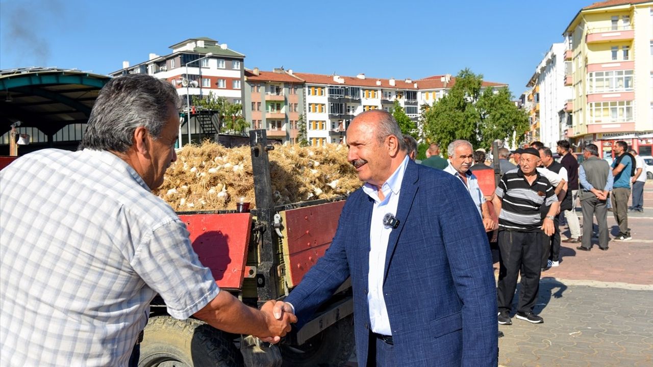 Kastamonu'da Taşköprü Sarımsak Pazarı Sezonu Başladı