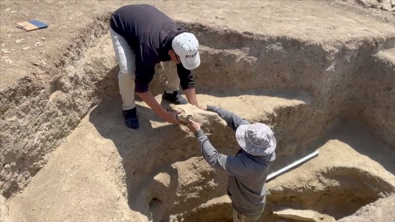 Kaybolan Türk Şehri Togu Balık Kazılarla Ortaya Çıkıyor