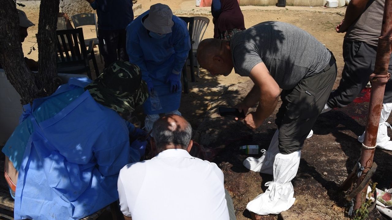 Kırıkkale'de 200 Küçükbaş Hayvan Telef Oldu: İnceleme Başlatıldı