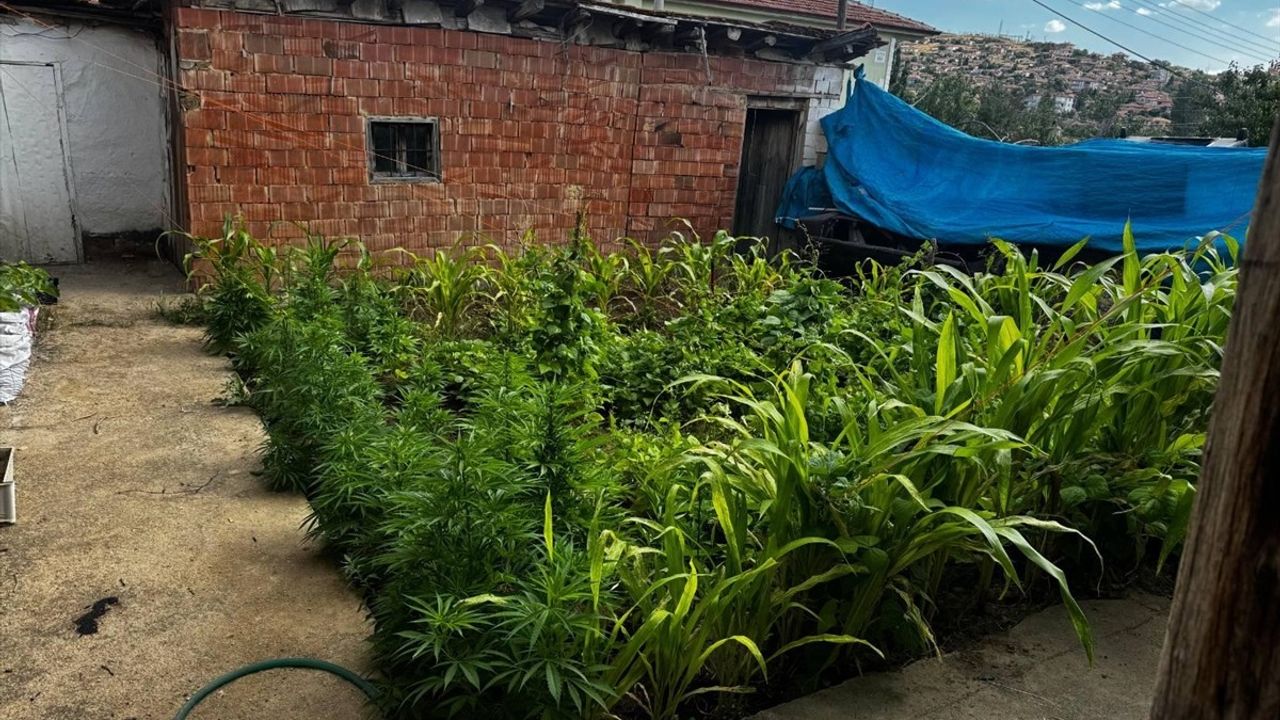 Kırıkkale'de İki Uyuşturucu Operasyonu: 5 Zanlı Yakalandı