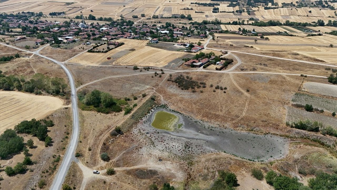Kırklareli'nde Kuruyan Gölet: Balık Ölümleri Artıyor