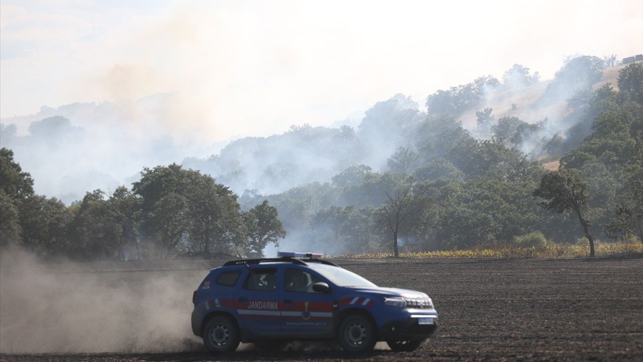 Kırklareli'nde Orman Yangını: Hızla Büyüyen Alevlere Müdahale Başlatıldı