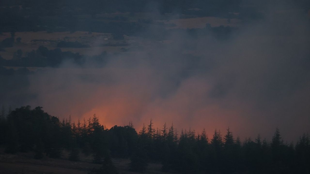 Kırklareli'ndeki Orman Yangını Kontrol Altına Alındı