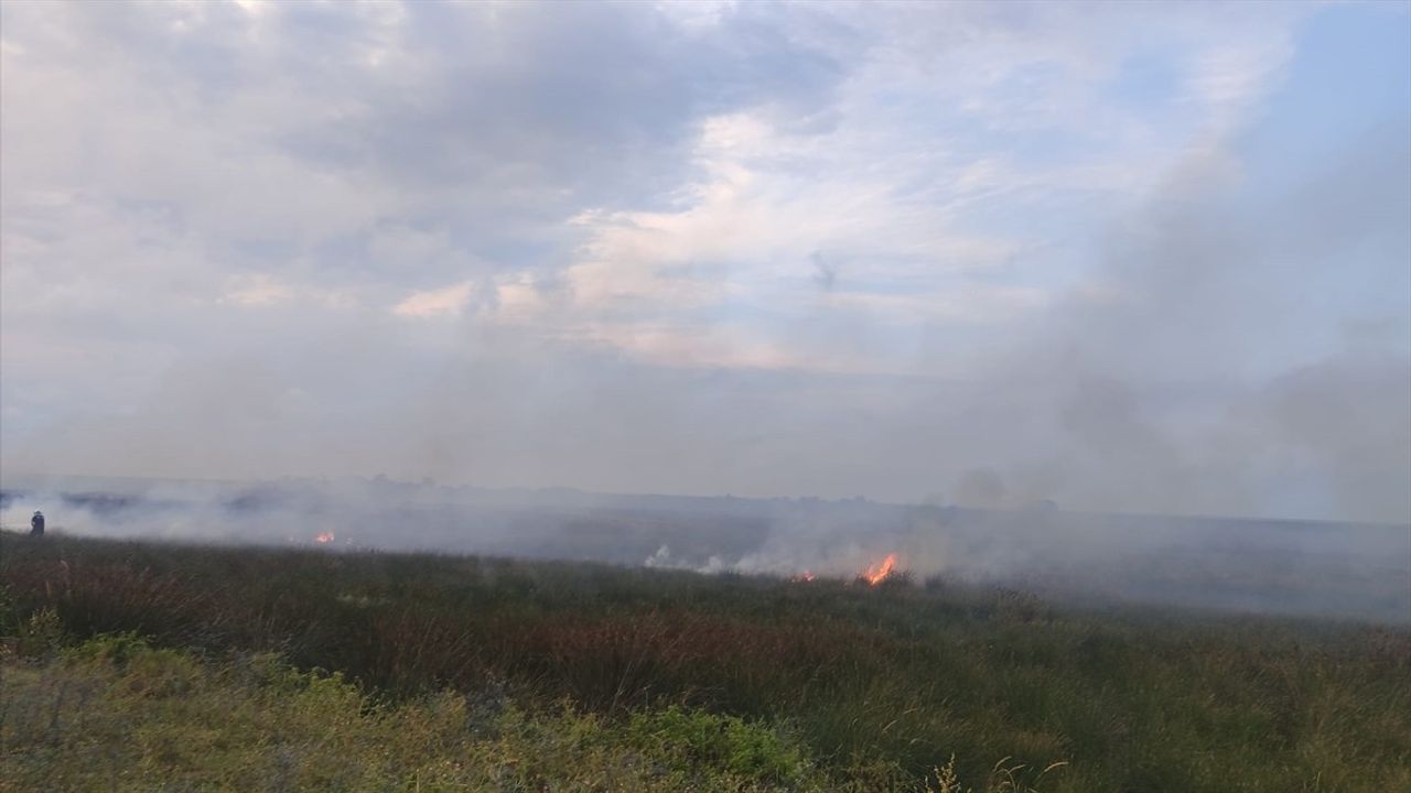 Kızılırmak Deltası Kuş Cenneti'nde Yangın Kontrol Altına Alındı