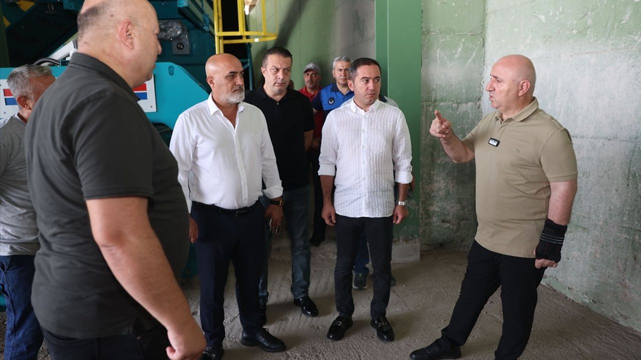 Kocaeli'de Geri Dönüşüm Tesisinde Günlük 70 Ton Atık İşlenecek