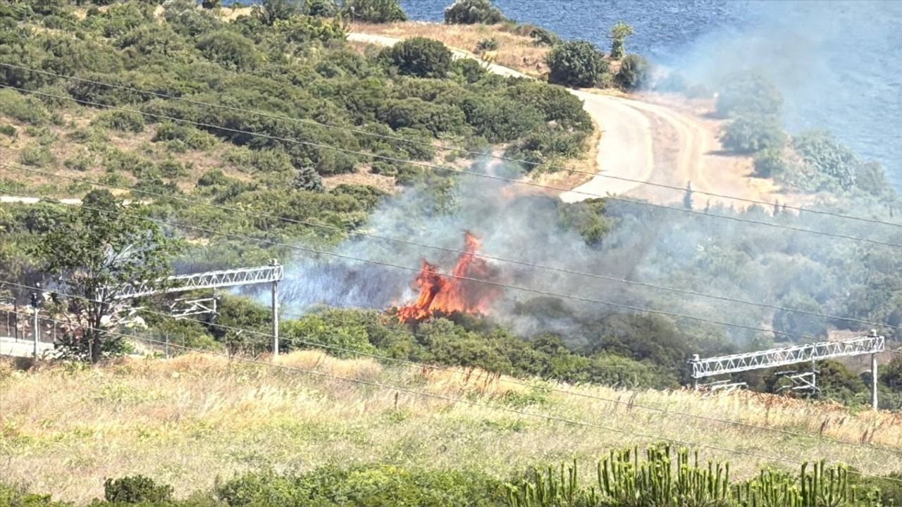 Kocaeli'de Makilik Alanda Yangın Kontrol Altına Alındı