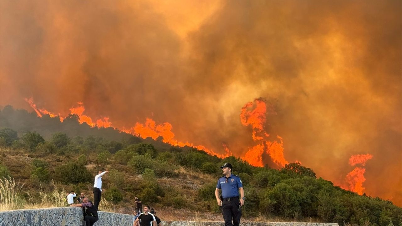 Kocaeli'de Orman Yangını Kontrol Altında: Ekipler Mücadeleye Devam Ediyor