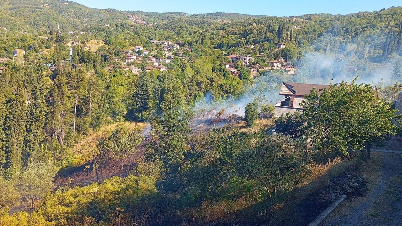 Kocaeli'de Orman Yangınına Anında Müdahale