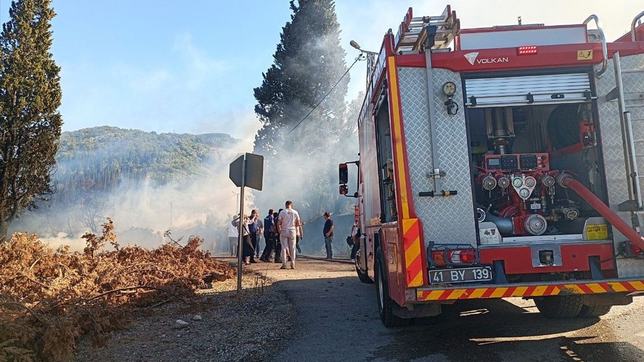Kocaeli'de Orman Yangınına Müdahale Başladı