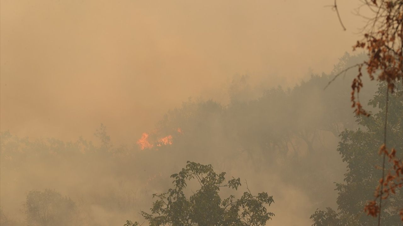 Kocaeli'deki Orman Yangını Kontrol Altına Alındı