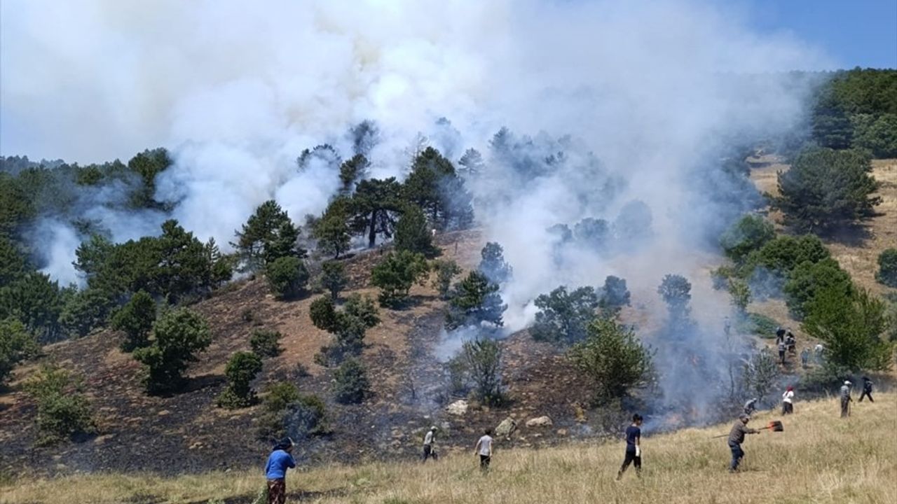 Konya'da Orman Yangınına Hızla Müdahale Ediliyor