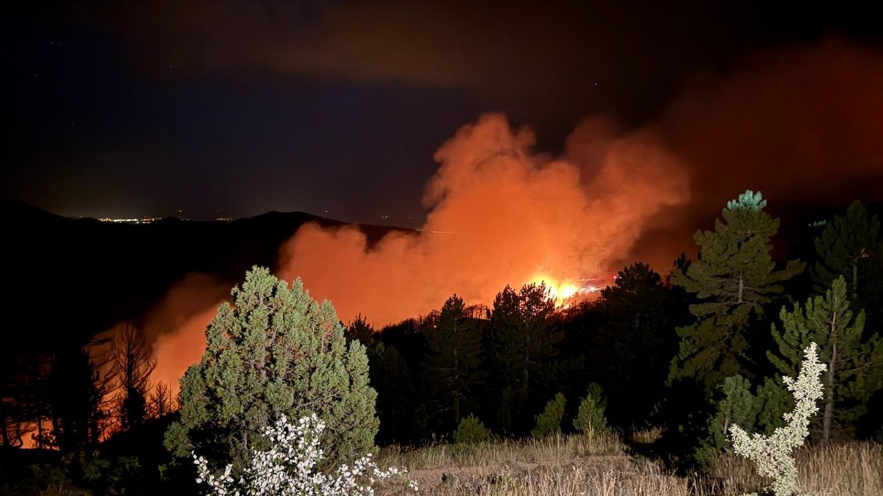 Konya'da Orman Yangınına Müdahale Devam Ediyor