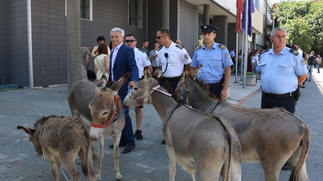 Kosova'da Meclis Başkanı Seçimi: Protesto İki Günde Bir Devam Ediyor