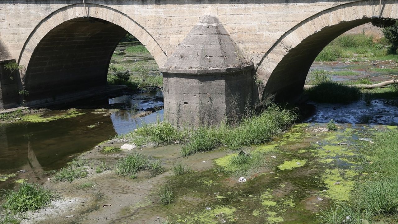 Kuraklık Tunca Nehri'ni Tehdit Ediyor: Su Akışı Durma Noktasında
