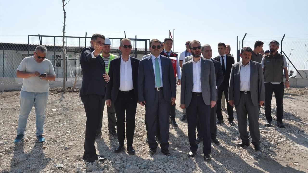 Kütahya'da 10 Bin Sahipsiz Hayvana Yeni Doğal Yaşam Alanı