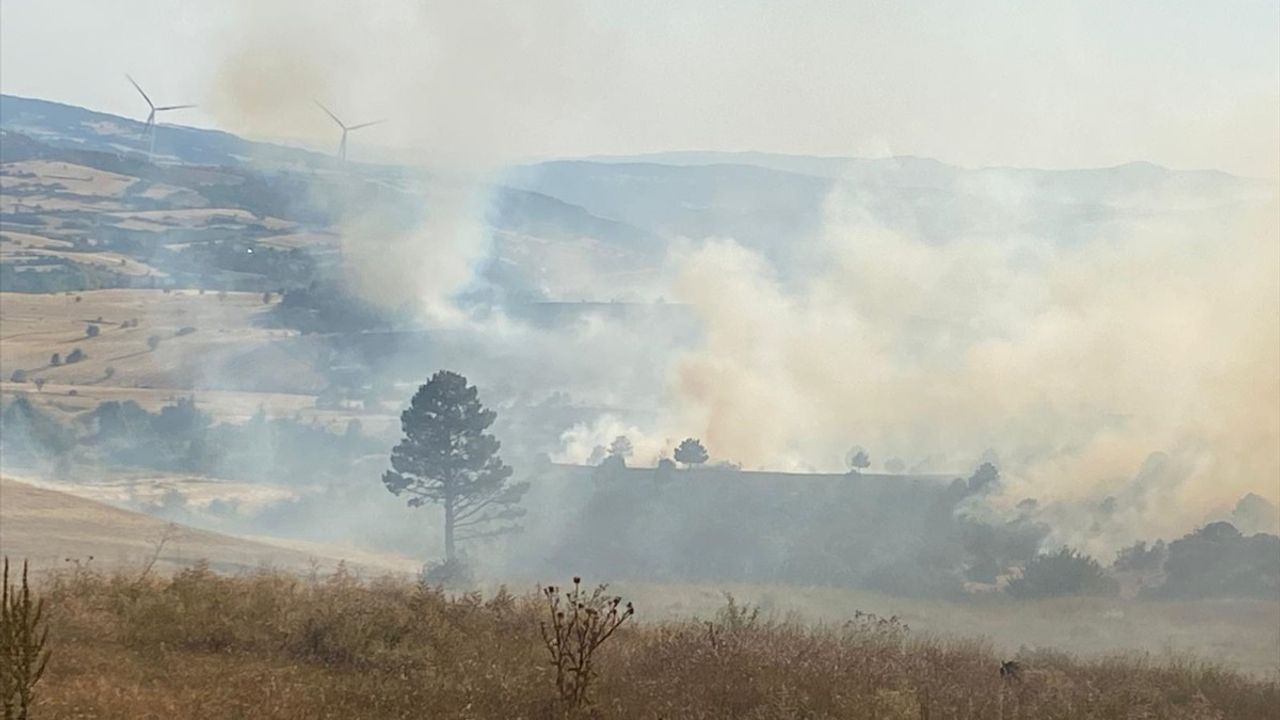 Kütahya'da Ormanlık Alanda Yangın: Hızla Müdahale Ediliyor