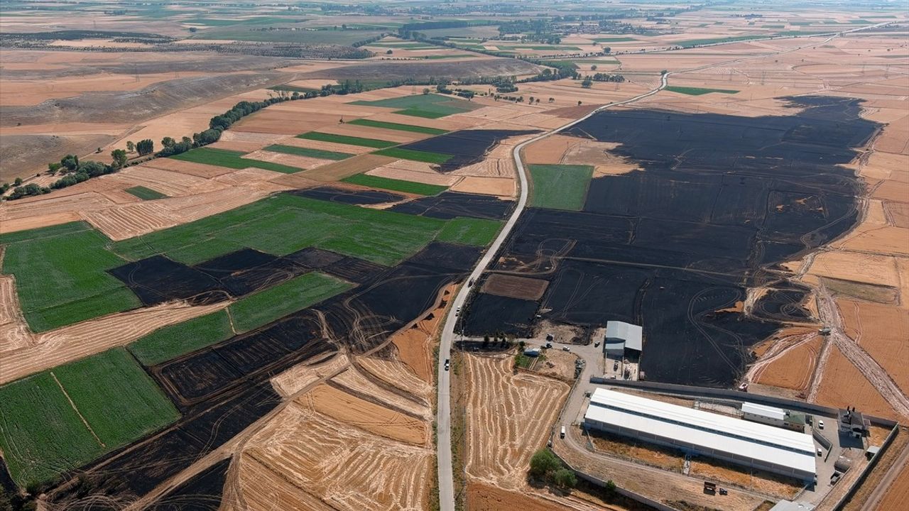 Kütahya'da Yangın Felaketi: 800 Dekar Ekili Alan Zarar Gördü