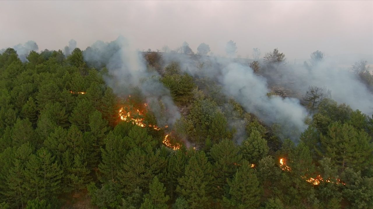 Kütahya'daki Orman Yangını Kontrol Altına Alındı