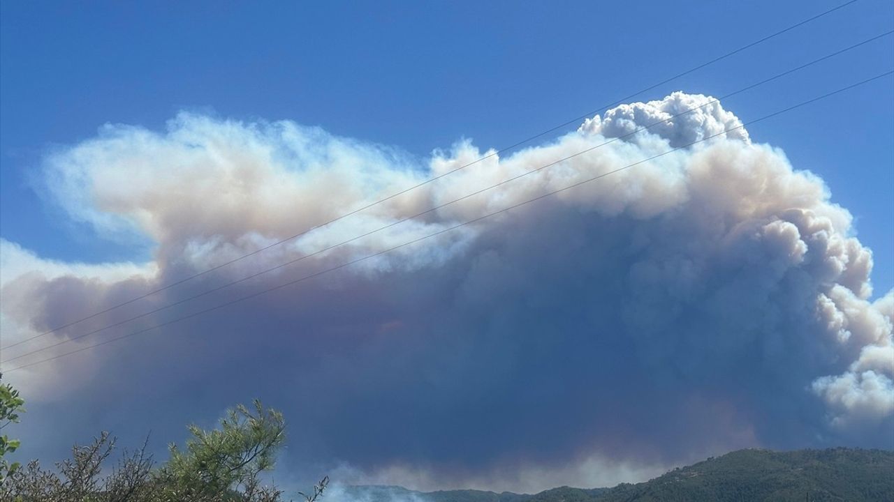 Lazkiye'de Orman Yangını: Afet Bakanı Açıklamalarda Bulundu