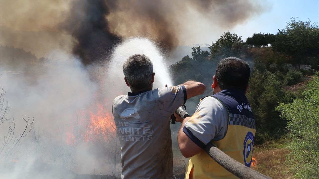 Lazkiye'deki Orman Yangınları 7 Gündür Kontrol Altına Alınamıyor