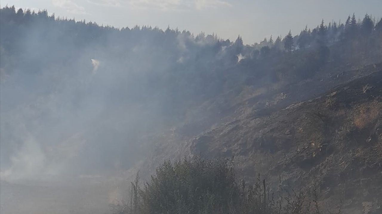 Malatya'da Orman Yangınlarına Hızlı Müdahale