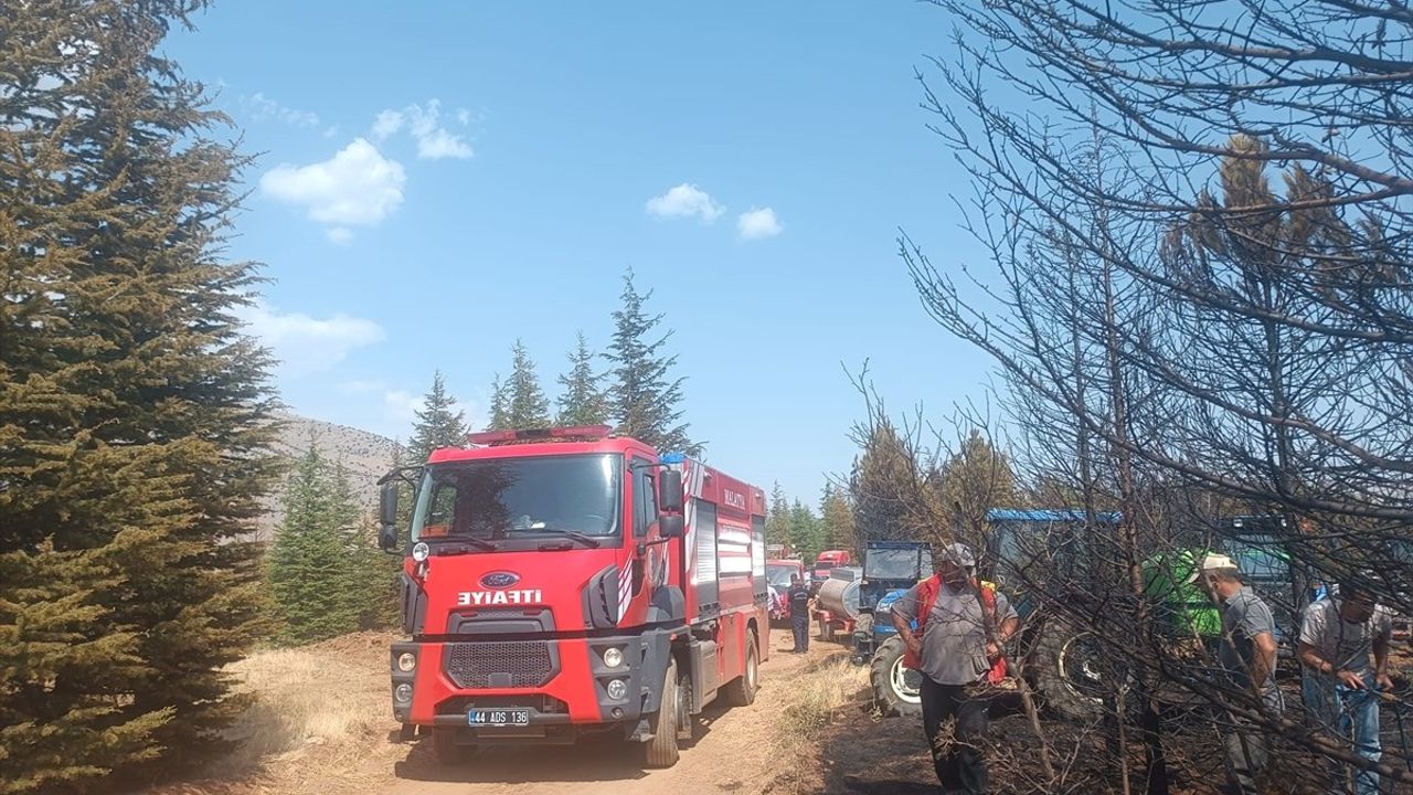 Malatya Doğanşehir'deki Orman Yangını Kontrol Altına Alındı