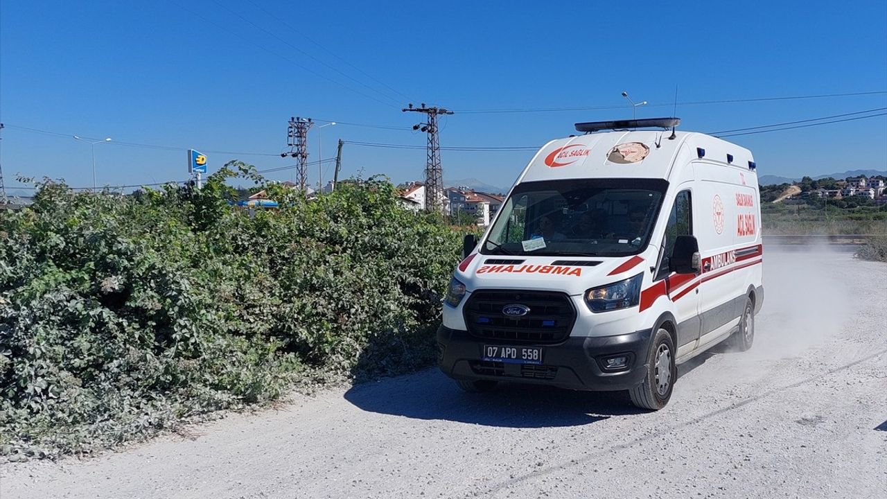 Manavgat'ta Kaçan Aslan Vurularak Etkisiz Hale Getirildi