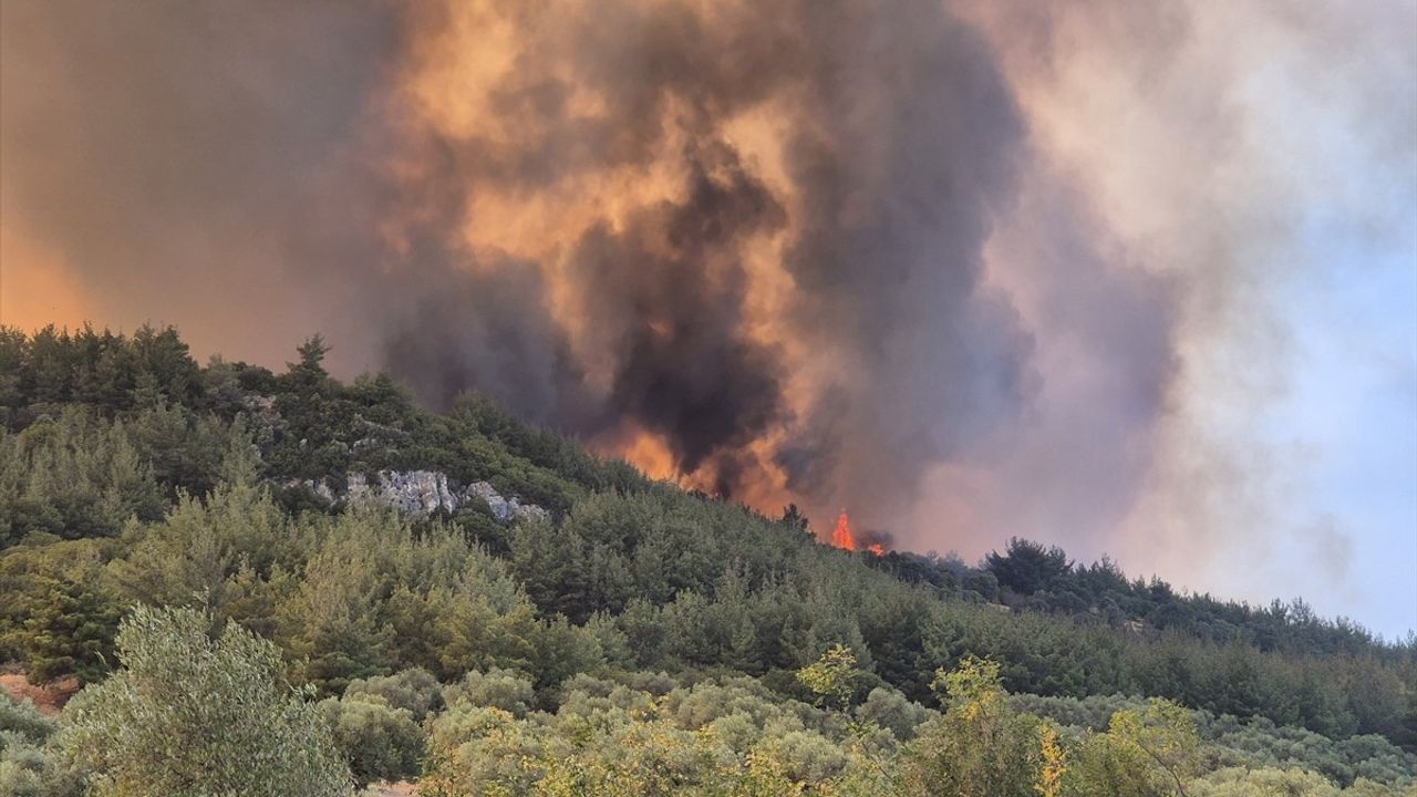 Manisa'da İki Orman Yangını: Biri Kontrol Altında, Diğeriyle Mücadele Sürüyor