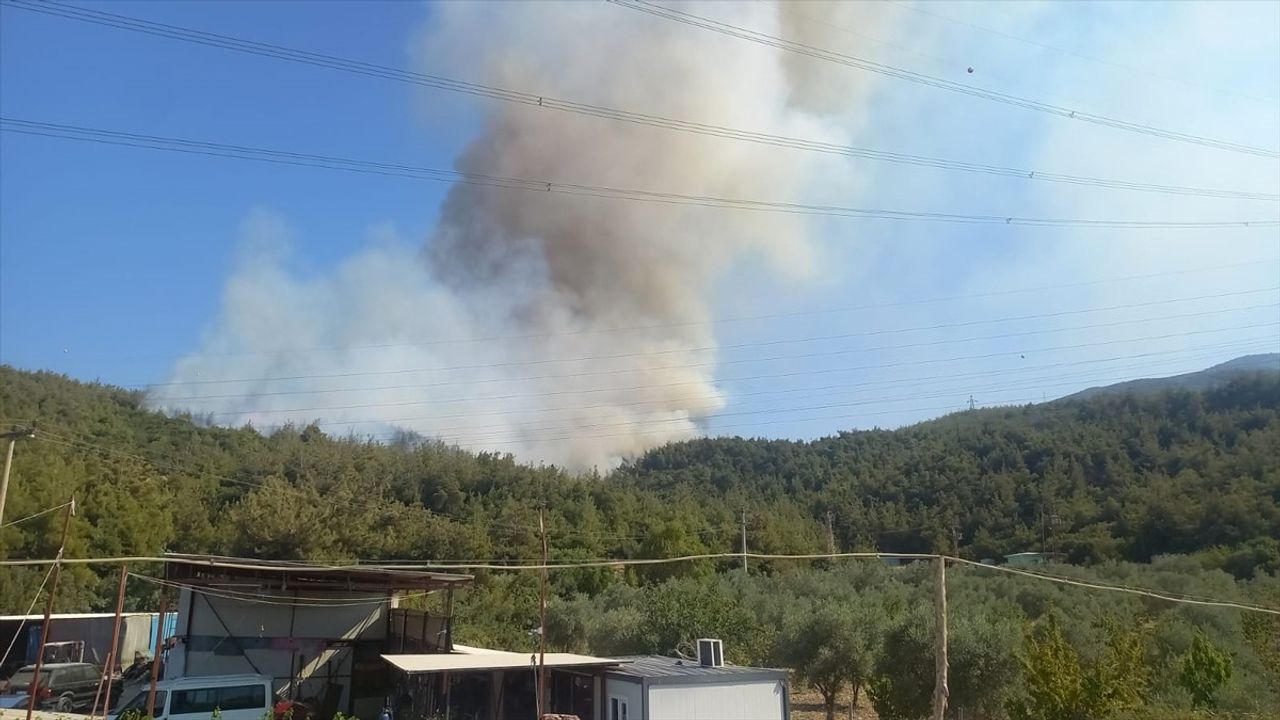Manisa'da Orman Yangını! Hızla Kontrol Altına Alınmaya Çalışıyor