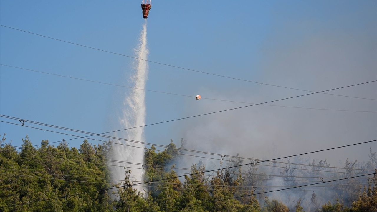 Manisa'da Orman Yangını: Müdahale Ekipleri Hızla Harekete Geçti