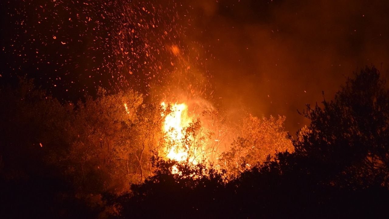 Manisa'da Tarım Arazisinden Ormana Sıçrayan Yangın Kontrol Altına Alındı