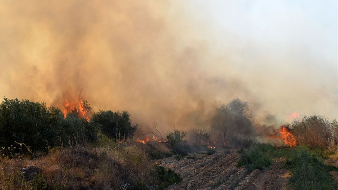 Manisa'da Zirai Alan Yangını Kontrol Altına Alındı