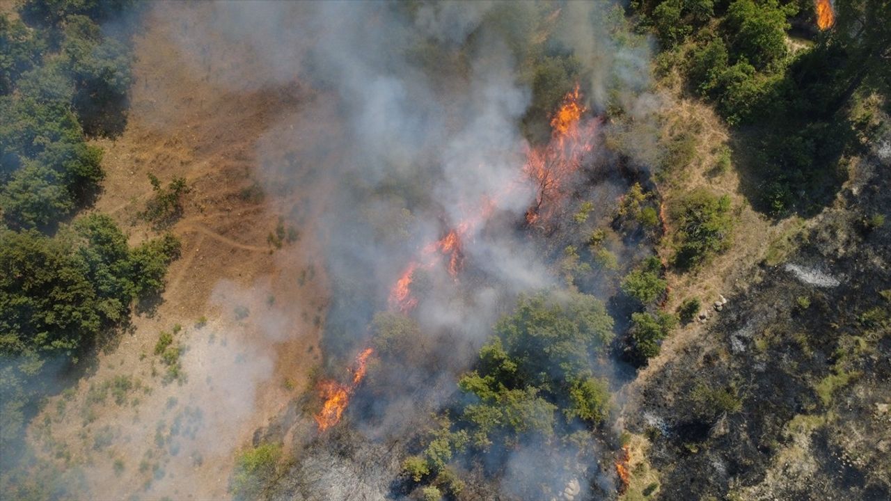 Manisa'daki Orman Yangını Kontrol Altına Alındı