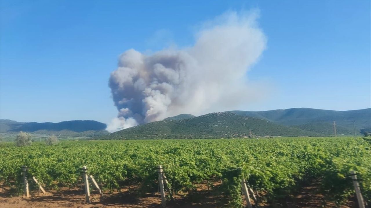 Manisa'nın Saruhanlı İlçesinde Orman Yangınına Hızlı Müdahale