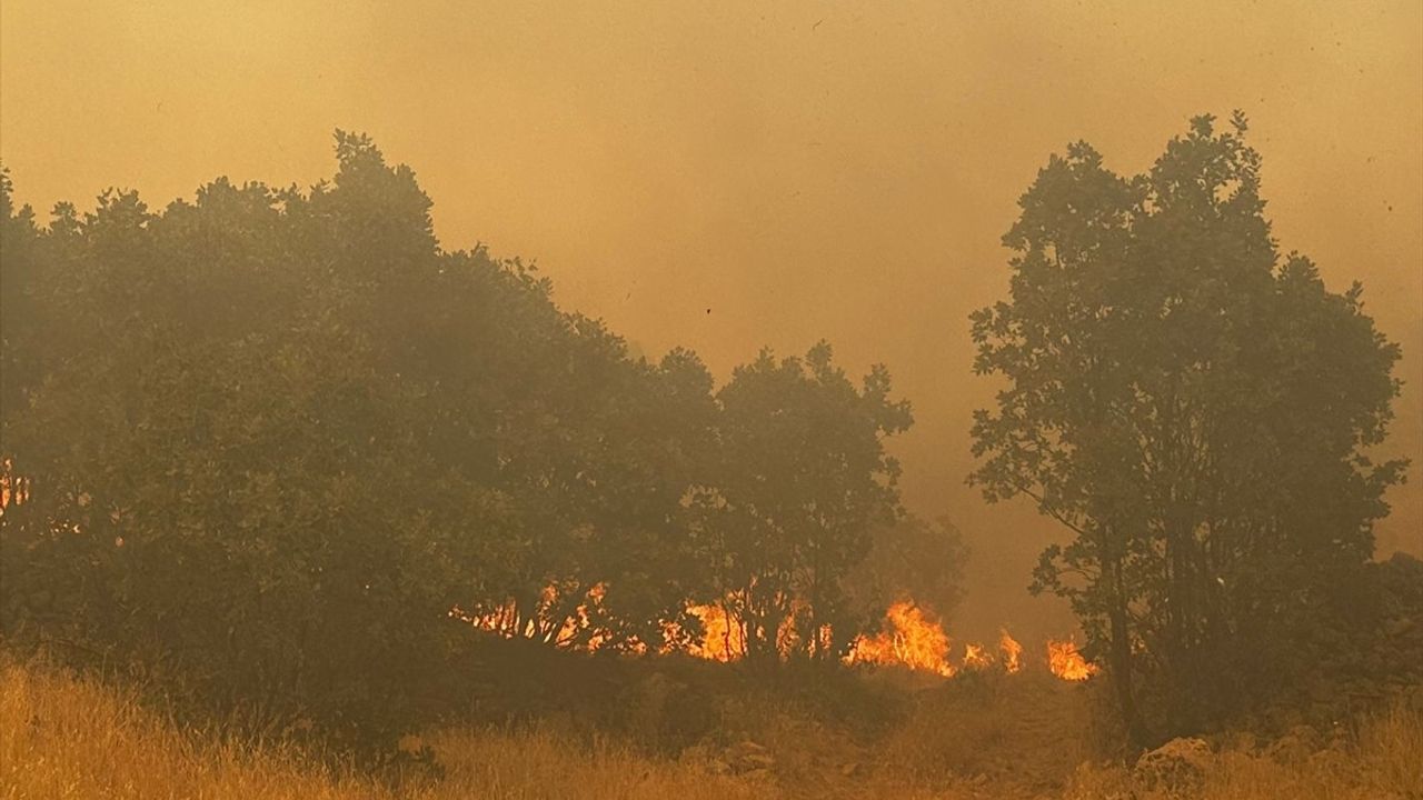 Mardin'de Ormanlık Alandaki Yangın Kontrol Altına Alındı