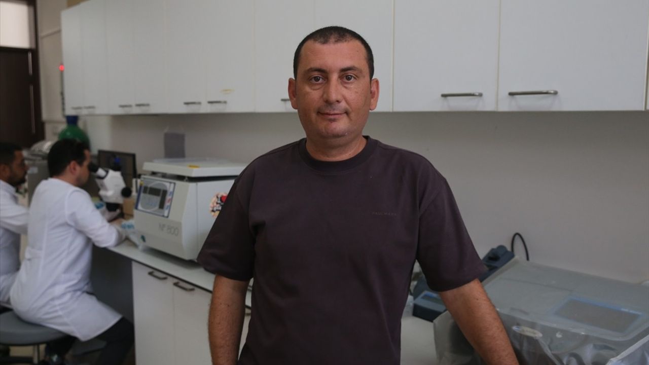 Marmara Denizi'nde Mikroplastik ve Ağır Metallere Dikkat: Yeni Proje Başlatıldı