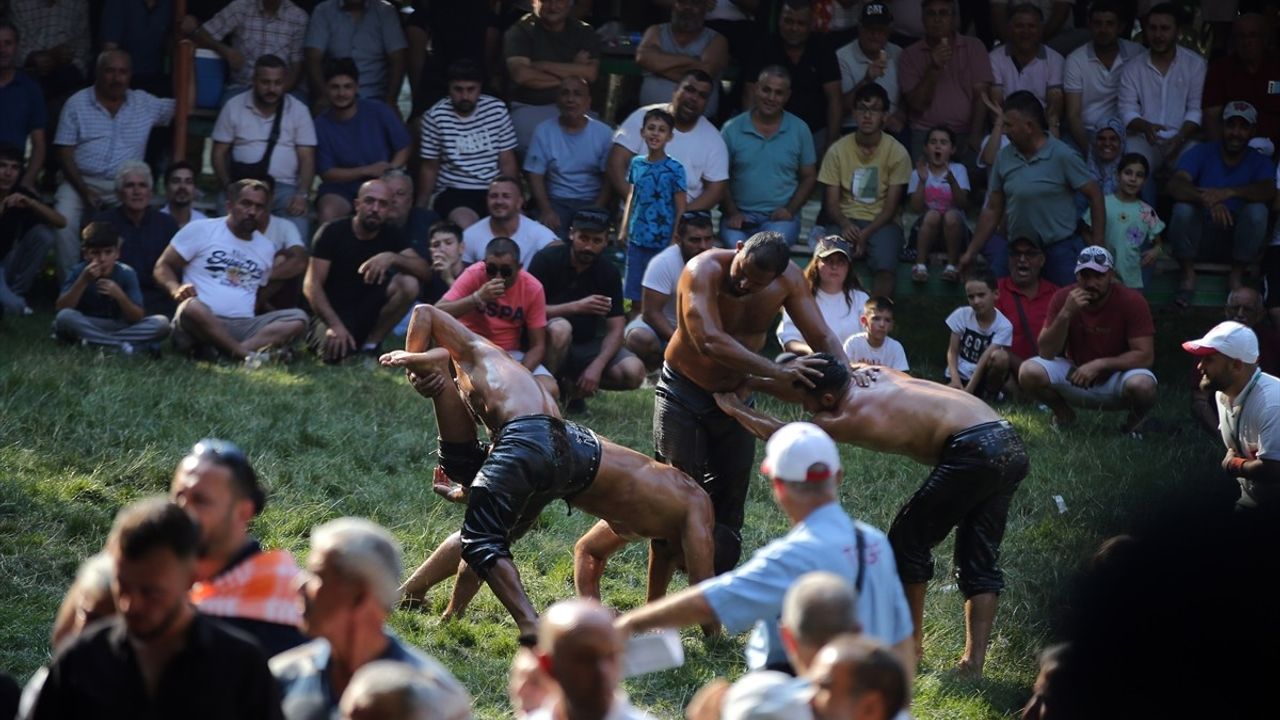 Menteşe Beşpınar Yağlı Güreşleri’nde Başpehlivan Cengizhan Şimşek Oldu