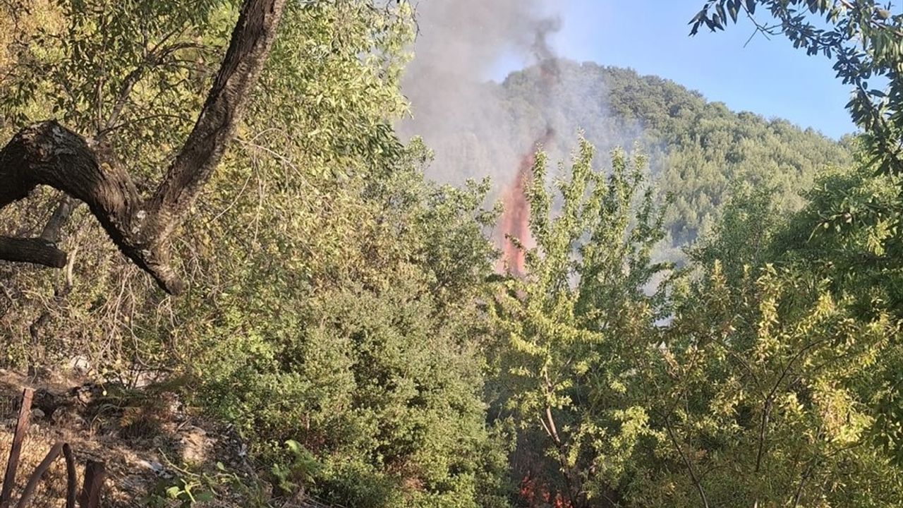 Mersin'de Orman Yangını Kontrol Altına Alındı
