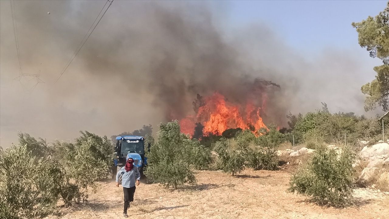 Mersin Silifke'de Orman Yangını: 4 Mahalle Tahliye Edildi