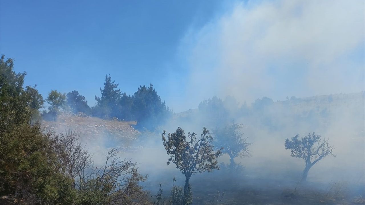 Mersin Silifke'de Tarım Arazisinde Yangın Kontrol Altına Alındı